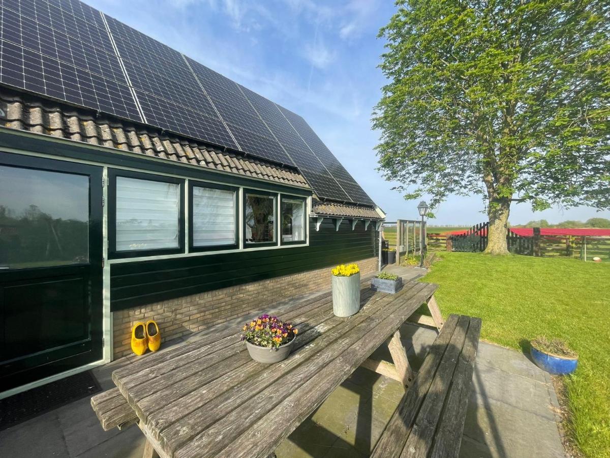 Vakantiehuis Het Uilennest Wijdenes Екстериор снимка