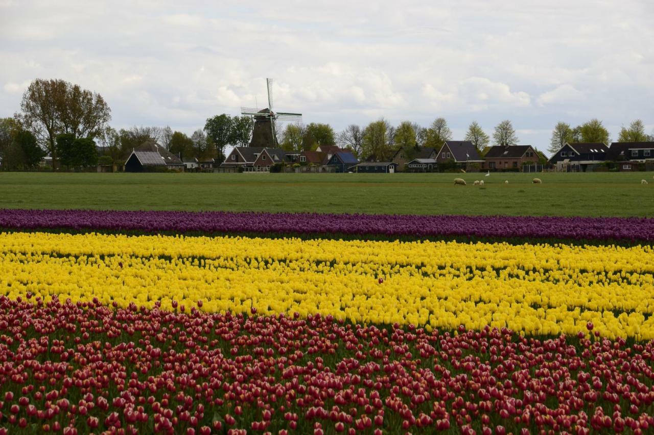 Vakantiehuis Het Uilennest Wijdenes Екстериор снимка